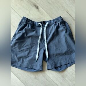 Chubbies swim trunks